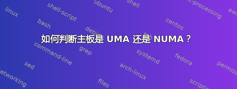 如何判断主板是 UMA 还是 NUMA？