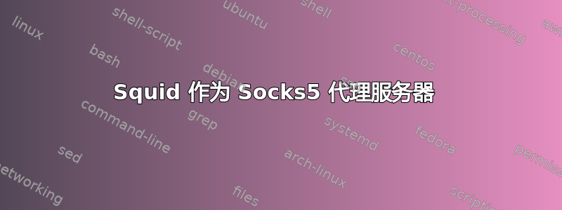 Squid 作为 Socks5 代理服务器 