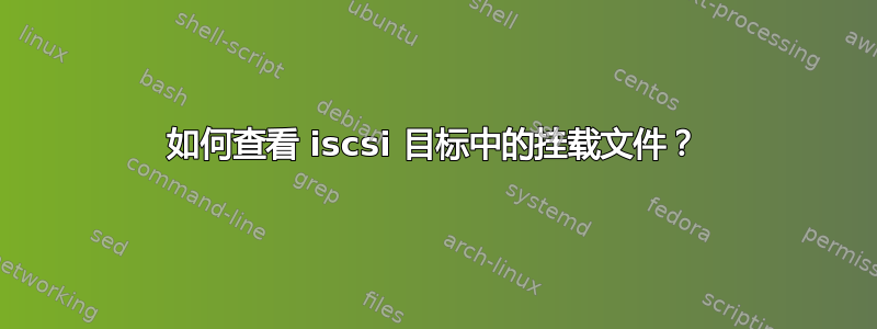 如何查看 iscsi 目标中的挂载文件？