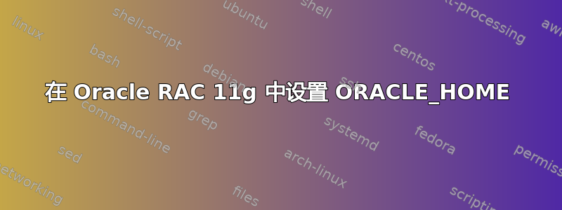 在 Oracle RAC 11g 中设置 ORACLE_HOME