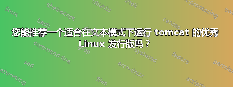 您能推荐一个适合在文本模式下运行 tomcat 的优秀 Linux 发行版吗？