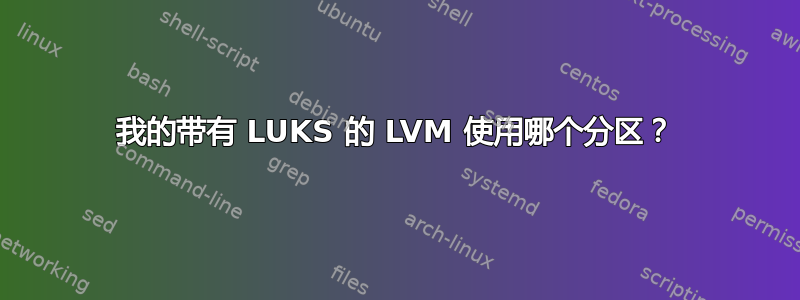 我的带有 LUKS 的 LVM 使用哪个分区？