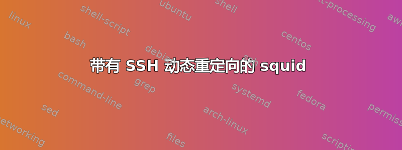 带有 SSH 动态重定向的 squid