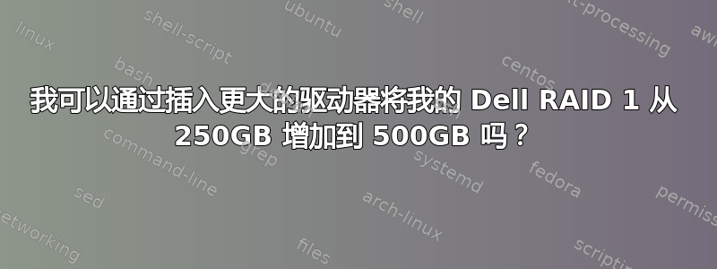 我可以通过插入更大的驱动器将我的 Dell RAID 1 从 250GB 增加到 500GB 吗？