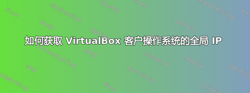 如何获取 VirtualBox 客户操作系统的全局 IP