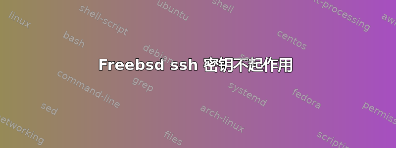 Freebsd ssh 密钥不起作用