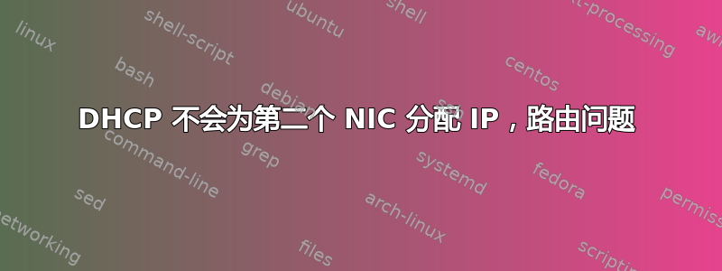 DHCP 不会为第二个 NIC 分配 IP，路由问题