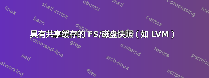 具有共享缓存的 FS/磁盘快照（如 LVM）