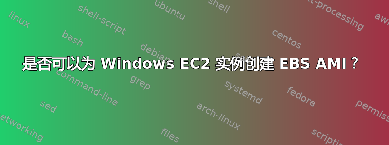 是否可以为 Windows EC2 实例创建 EBS AMI？