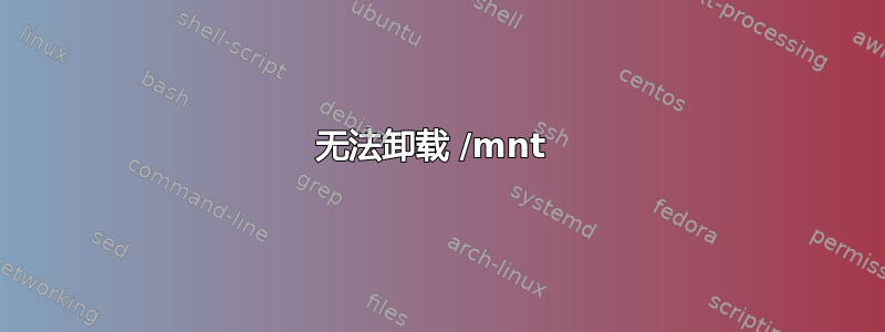 无法卸载 /mnt 