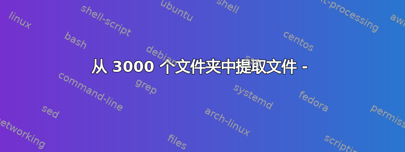 从 3000 个文件夹中提取文件 -