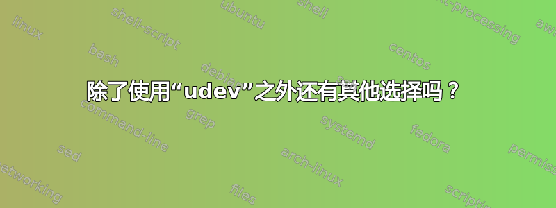 除了使用“udev”之外还有其他选择吗？