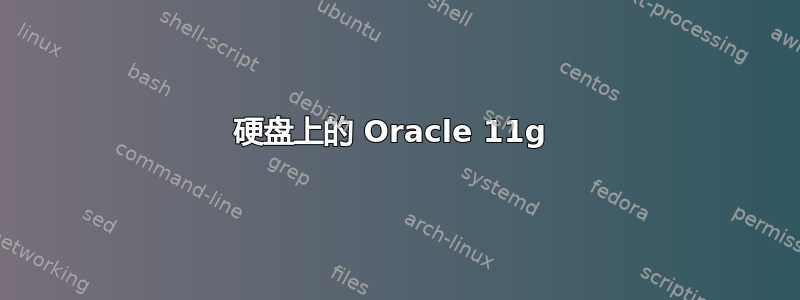 硬盘上的 Oracle 11g 