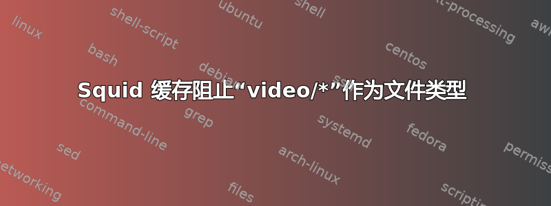 Squid 缓存阻止“video/*”作为文件类型