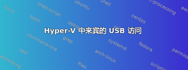 Hyper-V 中来宾的 USB 访问