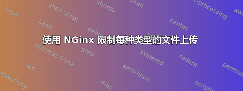 使用 NGinx 限制每种类型的文件上传