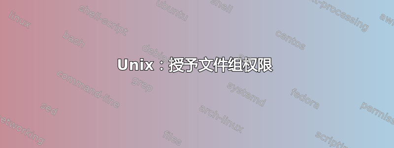 Unix：授予文件组权限