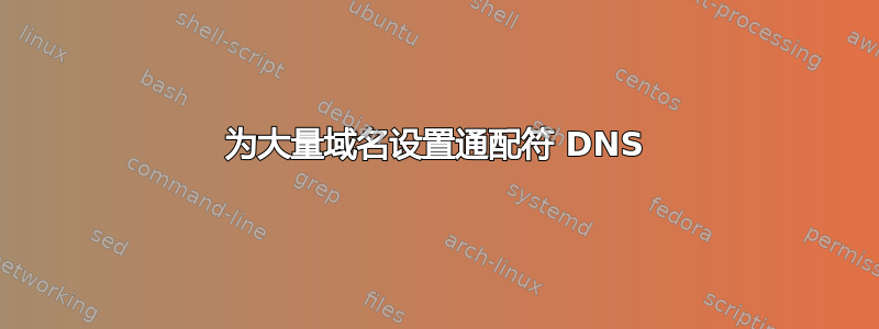 为大量域名设置通配符 DNS