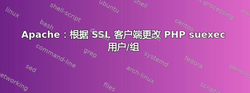 Apache：根据 SSL 客户端更改 PHP suexec 用户/组