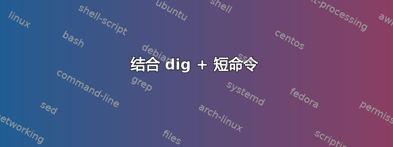 结合 dig + 短命令