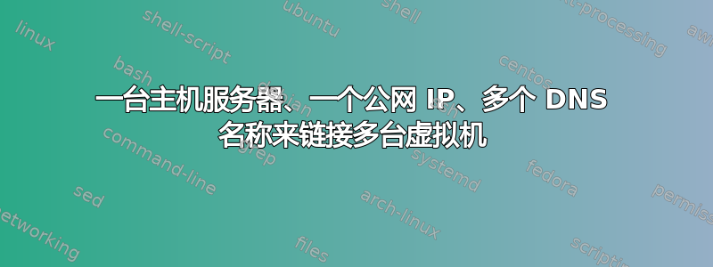 一台主机服务器、一个公网 IP、多个 DNS 名称来链接多台虚拟机