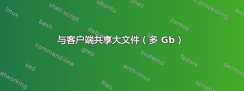 与客户端共享大文件（多 Gb）