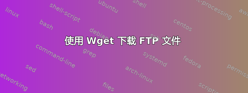 使用 Wget 下载 FTP 文件