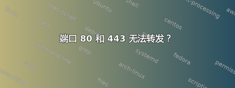 端口 80 和 443 无法转发？