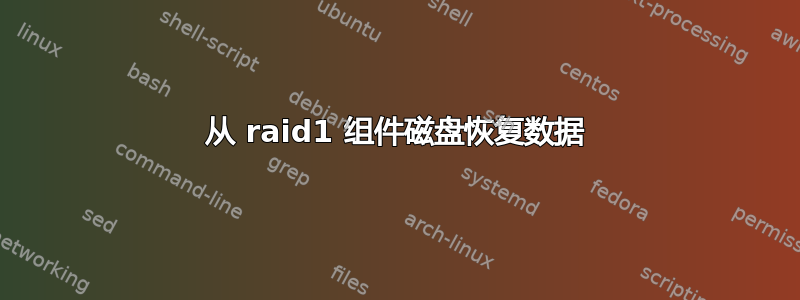 从 raid1 组件磁盘恢复数据