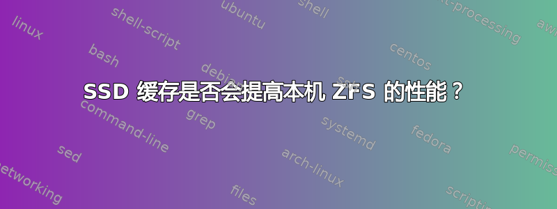 SSD 缓存是否会提高本机 ZFS 的性能？