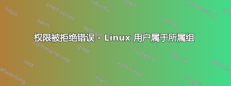 权限被拒绝错误 - Linux 用户属于所属组