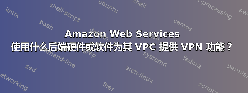 Amazon Web Services 使用什么后端硬件或软件为其 VPC 提供 VPN 功能？