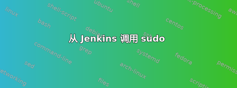 从 Jenkins 调用 sudo