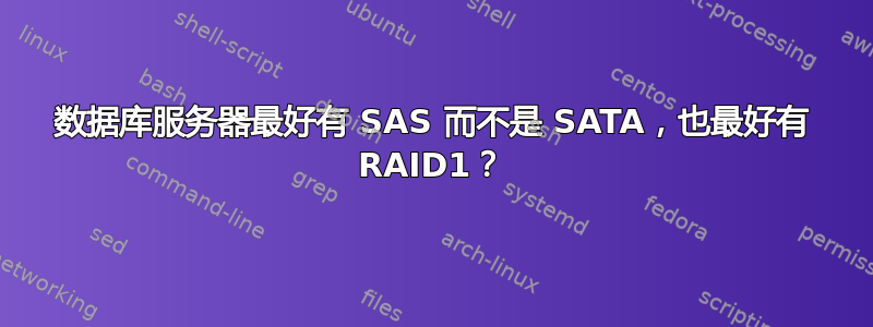 数据库服务器最好有 SAS 而不是 SATA，也最好有 RAID1？