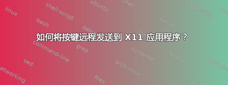 如何将按键远程发送到 X11 应用程序？