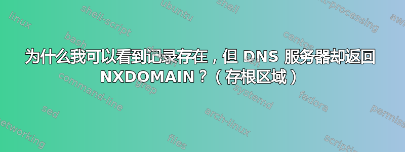 为什么我可以看到记录存在，但 DNS 服务器却返回 NXDOMAIN？（存根区域）