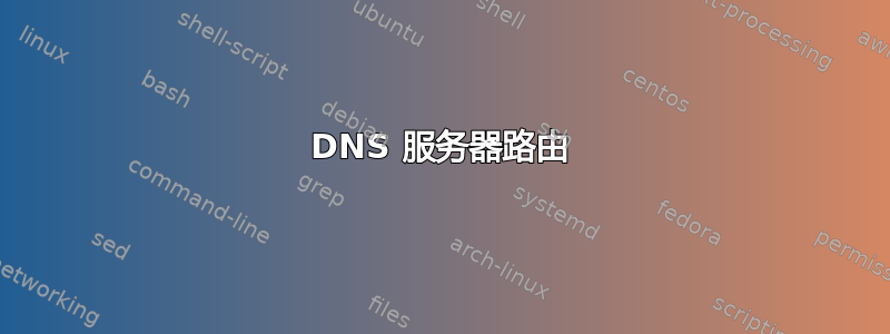 DNS 服务器路由