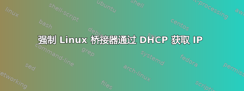 强制 Linux 桥接器通过 DHCP 获取 IP