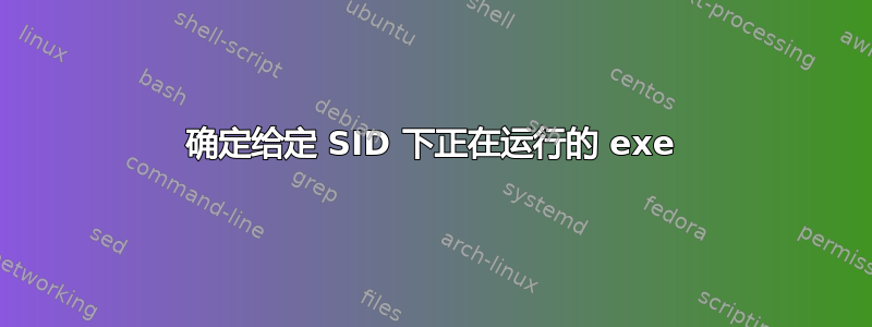 确定给定 SID 下正在运行的 exe