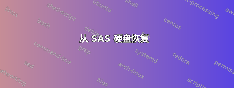 从 SAS 硬盘恢复 