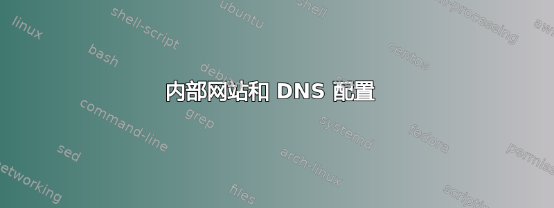 内部网站和 DNS 配置 