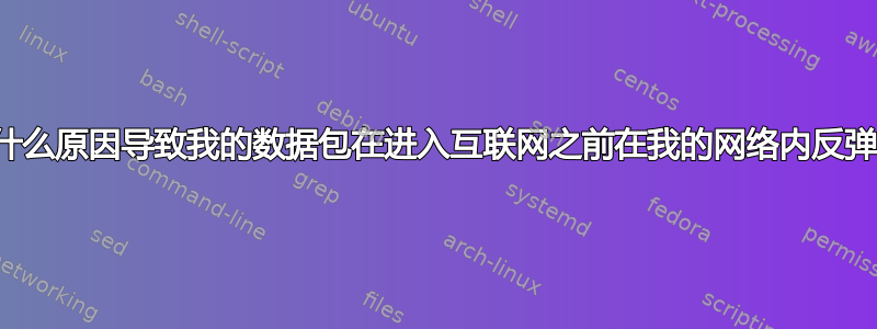 是什么原因导致我的数据包在进入互联网之前在我的网络内反弹？