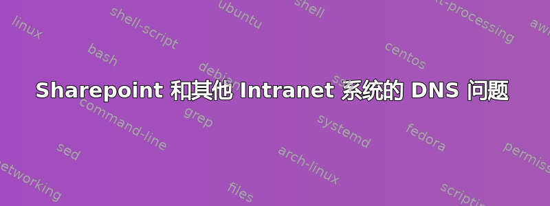 Sharepoint 和其他 Intranet 系统的 DNS 问题