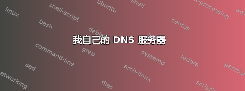 我自己的 DNS 服务器 