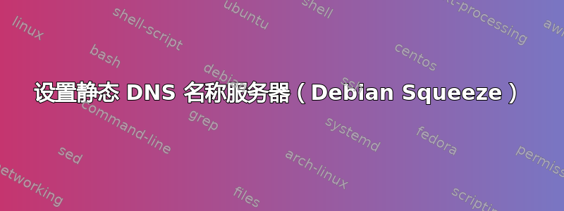 设置静态 DNS 名称服务器（Debian Squeeze）