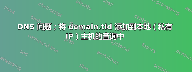 DNS 问题；将 domain.tld 添加到本地（私有 IP）主机的查询中