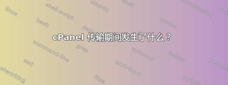 cPanel 传输期间发生了什么？