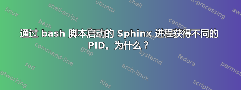 通过 bash 脚本启动的 Sphinx 进程获得不同的 PID。为什么？