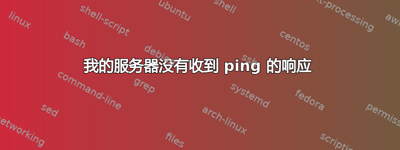 我的服务器没有收到 ping 的响应