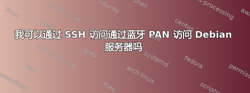 我可以通过 SSH 访问通过蓝牙 PAN 访问 Debian 服务器吗